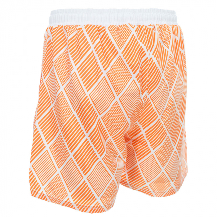Retro Swim Shorts