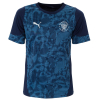 Puma TeamCUP Training Jersey Adult