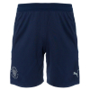 Puma TeamCUP Shorts Adult