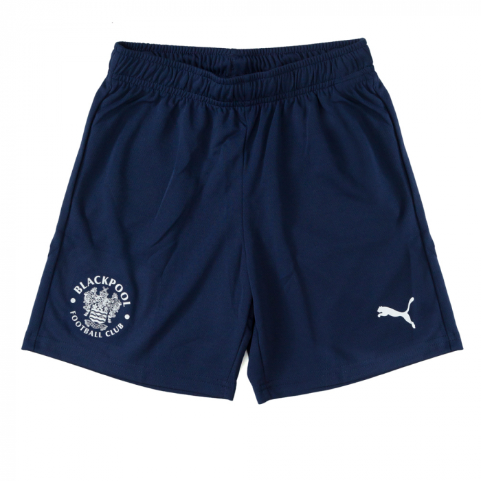 Puma TeamRISE Shorts Junior