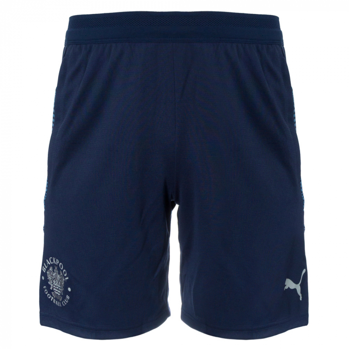 Puma TeamCUP Shorts Adult