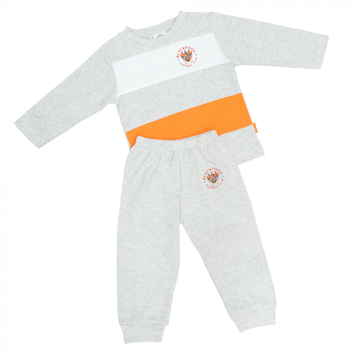Baby Sweatshirt Jog Suit