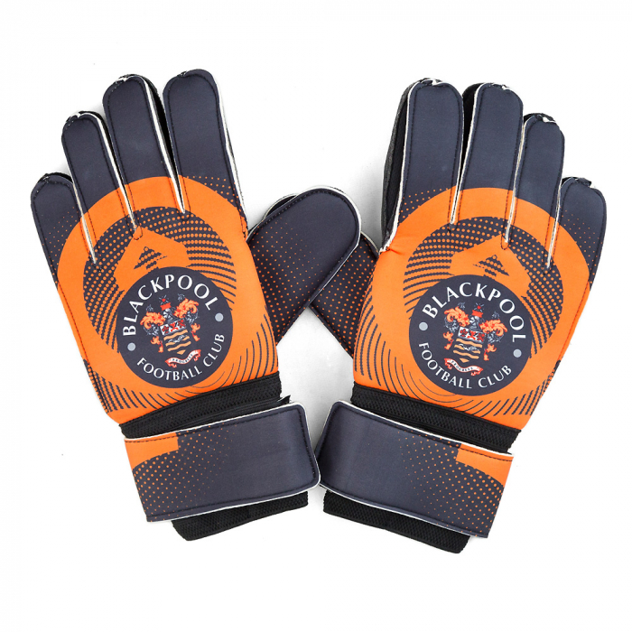 Goalie Gloves