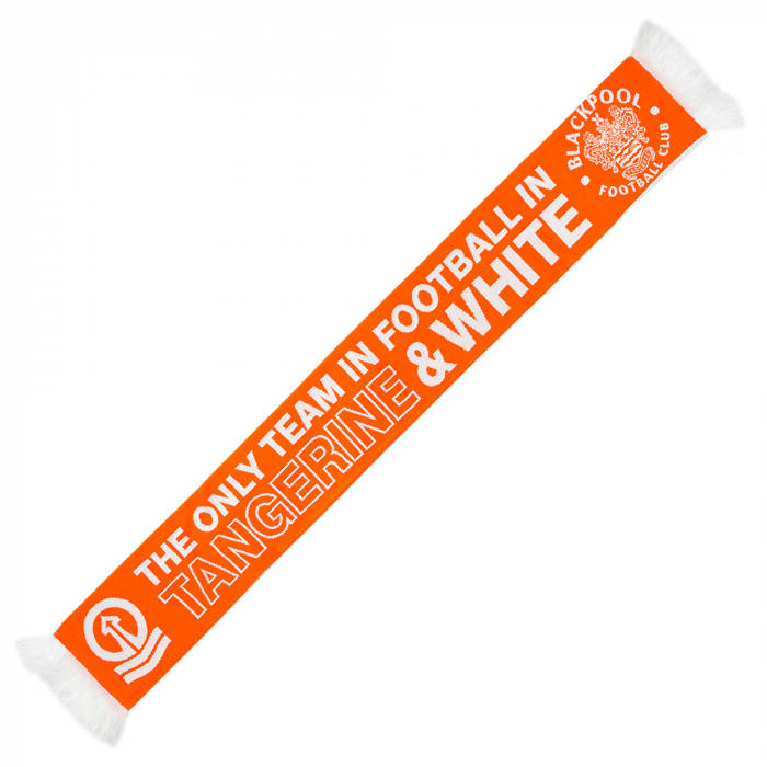 The Only Team Double Sided Scarf